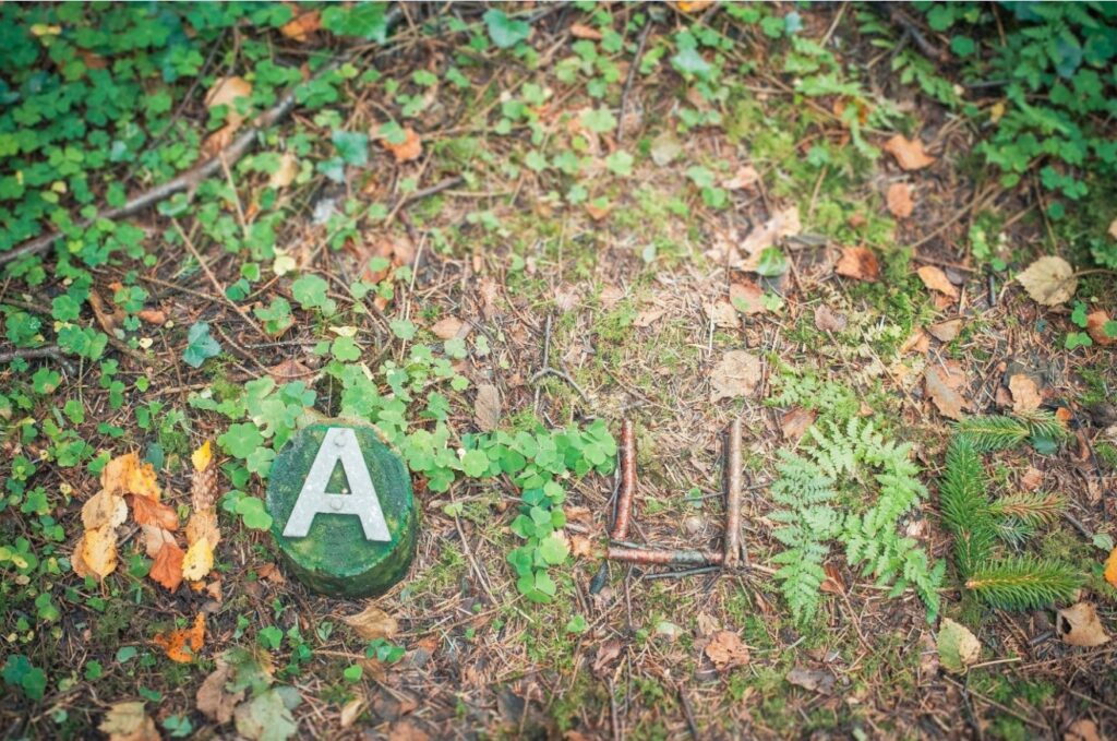 Journée Scolaire - Apprendre autrement